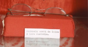 Glasses used by Luisa and its case